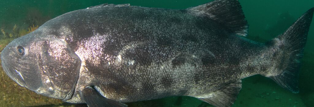 cd6dcb7f-f207-47a0-a2b1-72cc74a8a495