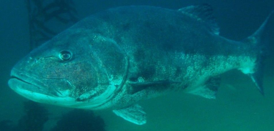 9379d562-33bd-4347-b47d-5ae771551be7