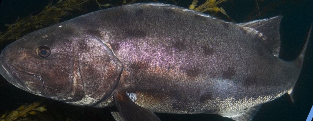 2c9ff642-4602-4e28-86f9-49be6369d1cb