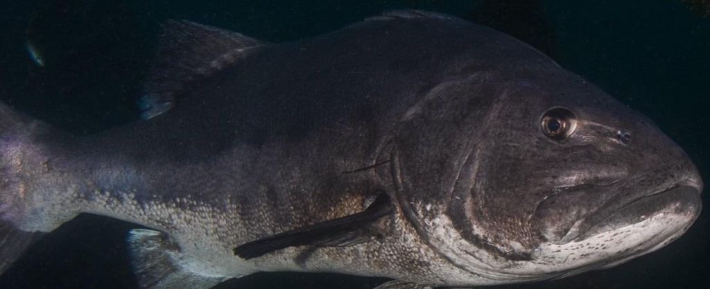 2c9ff642-4602-4e28-86f9-49be6369d1cb