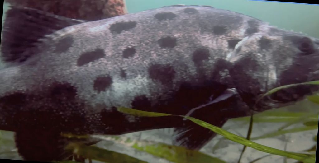 38f50a08-c33b-48b4-b978-1306511a1508