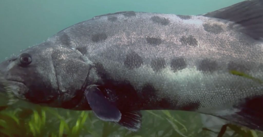 38f50a08-c33b-48b4-b978-1306511a1508