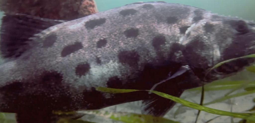 38f50a08-c33b-48b4-b978-1306511a1508