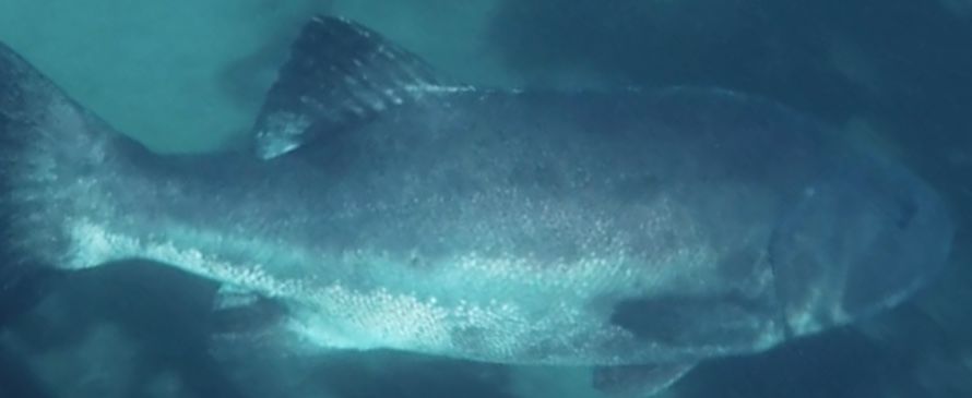 15e6b716-4802-4fb6-98b5-2097118006b8