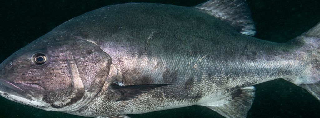 05743707-a36f-401f-bfdf-bc610e8d955f