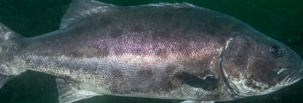 7a61e68d-8aff-4eb5-ac8b-42b98c0fb5d1