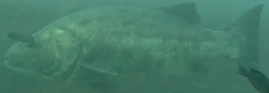 ed9dc444-422f-43e6-8054-f69ce6d535de