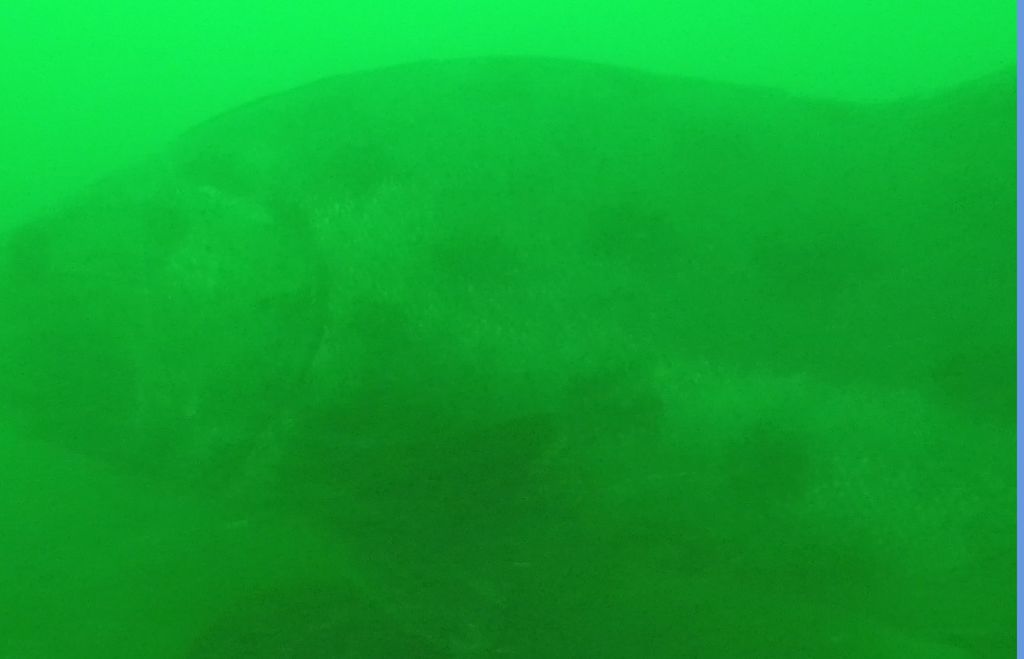 57bd765d-9403-4dd1-a23d-60a1d8b4f739