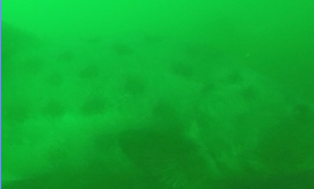 57bd765d-9403-4dd1-a23d-60a1d8b4f739