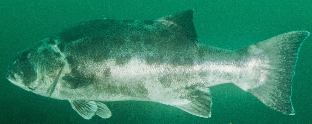 7463e525-6edd-452b-a7c7-1da056054b9e