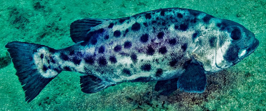 41418c79-8605-4955-82a7-9373458ca7e1