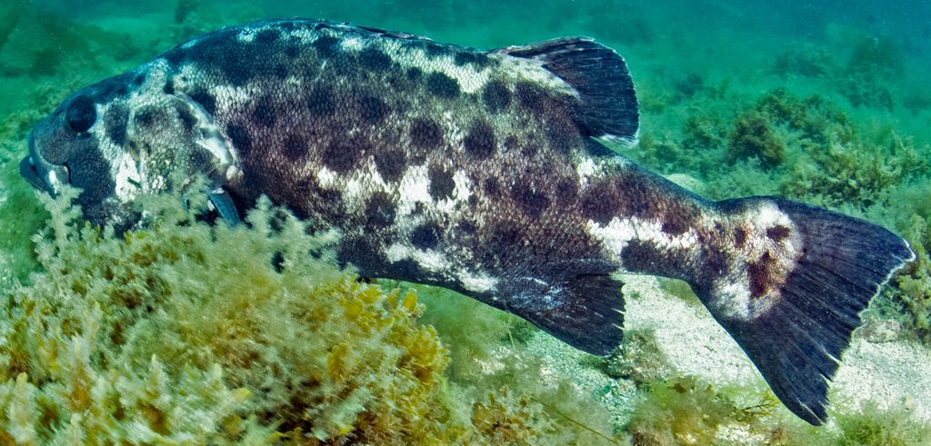 41418c79-8605-4955-82a7-9373458ca7e1