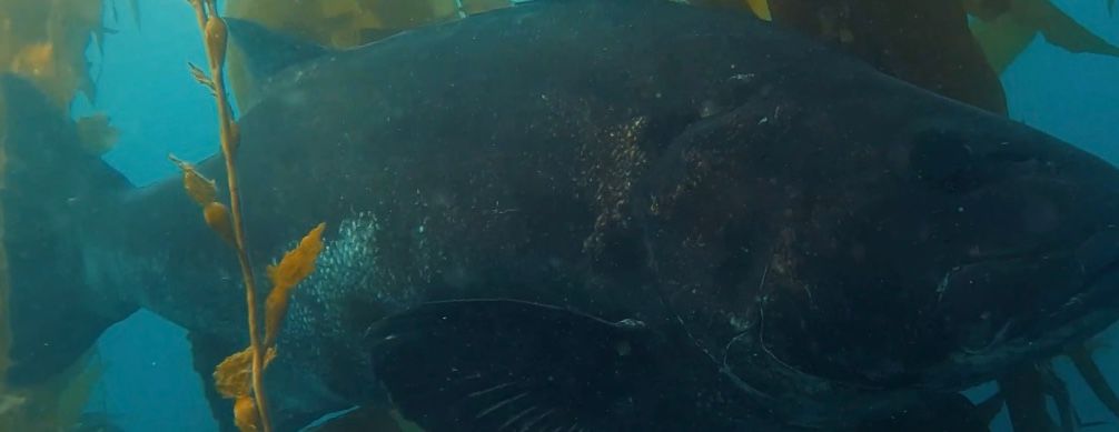 e5c20879-dd10-4692-860f-f29059647391