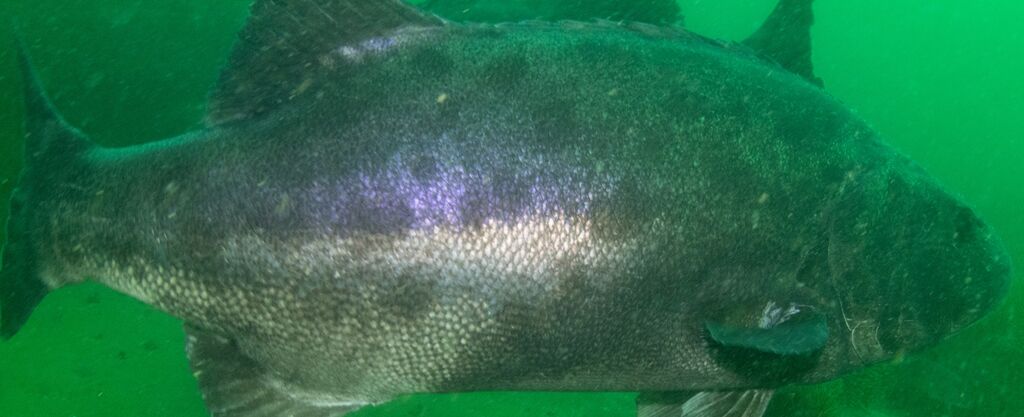 d7f9d87d-4d91-43af-97af-2b4abc87ff24