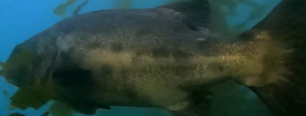 7995452a-76af-47da-9b4f-c60ab11ff9c1