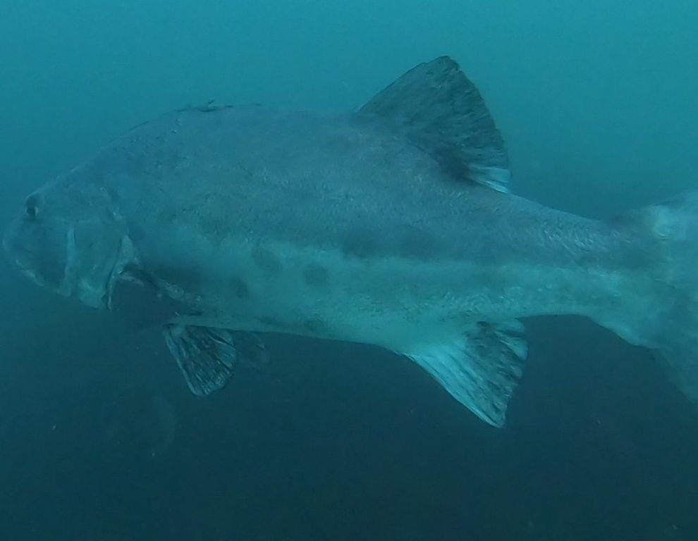 442cff86-575a-4166-92bc-0941488fdf81