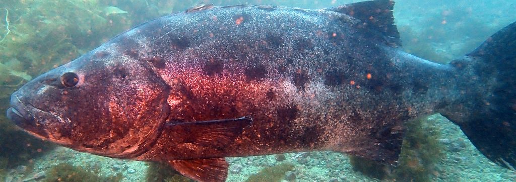 4581a66d-d18e-4478-a833-6dfd40daa4c5