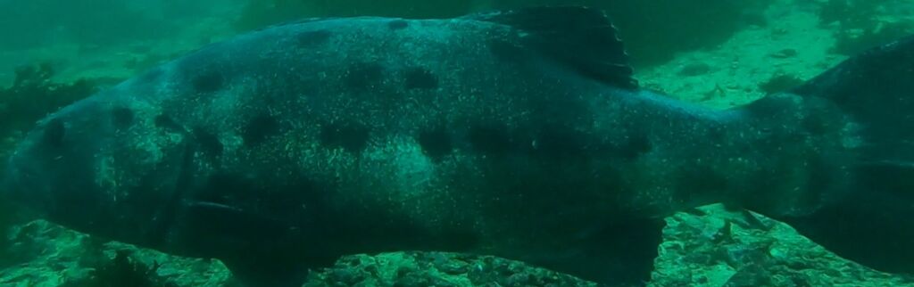 31bd8dbe-6a0b-44ed-8bef-80b298639f9d