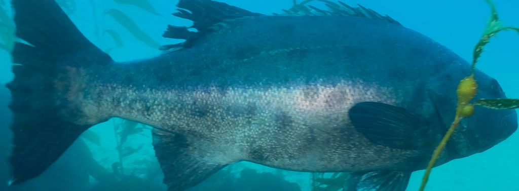 82073b81-42bc-4242-ad8f-11e2326311ec