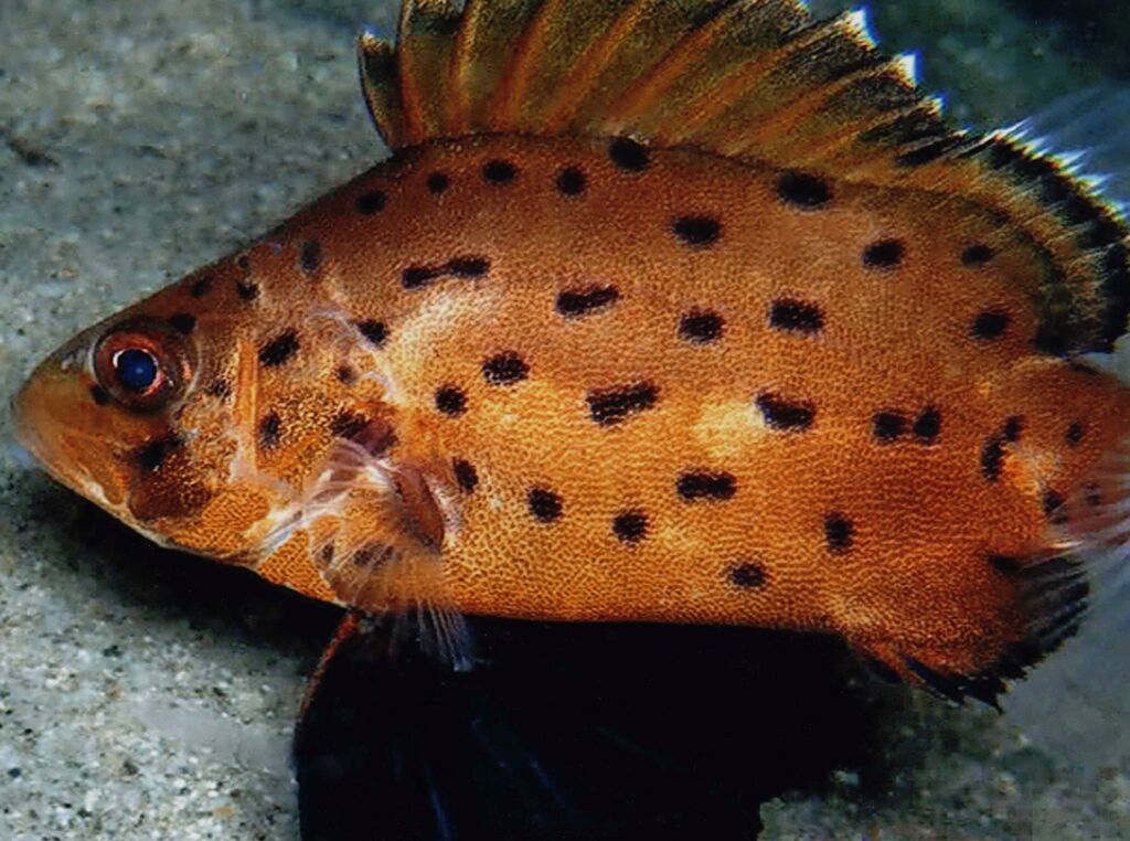 d709a46c-69a3-4ead-8e4e-5d8507616be9