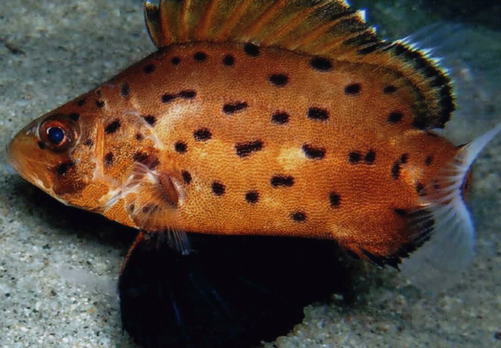 d709a46c-69a3-4ead-8e4e-5d8507616be9