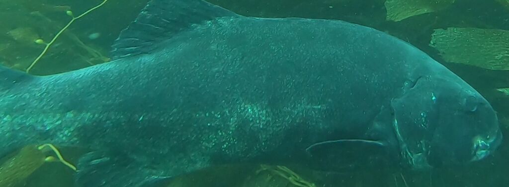 914bfc75-962a-421d-9ff0-40bde492b961