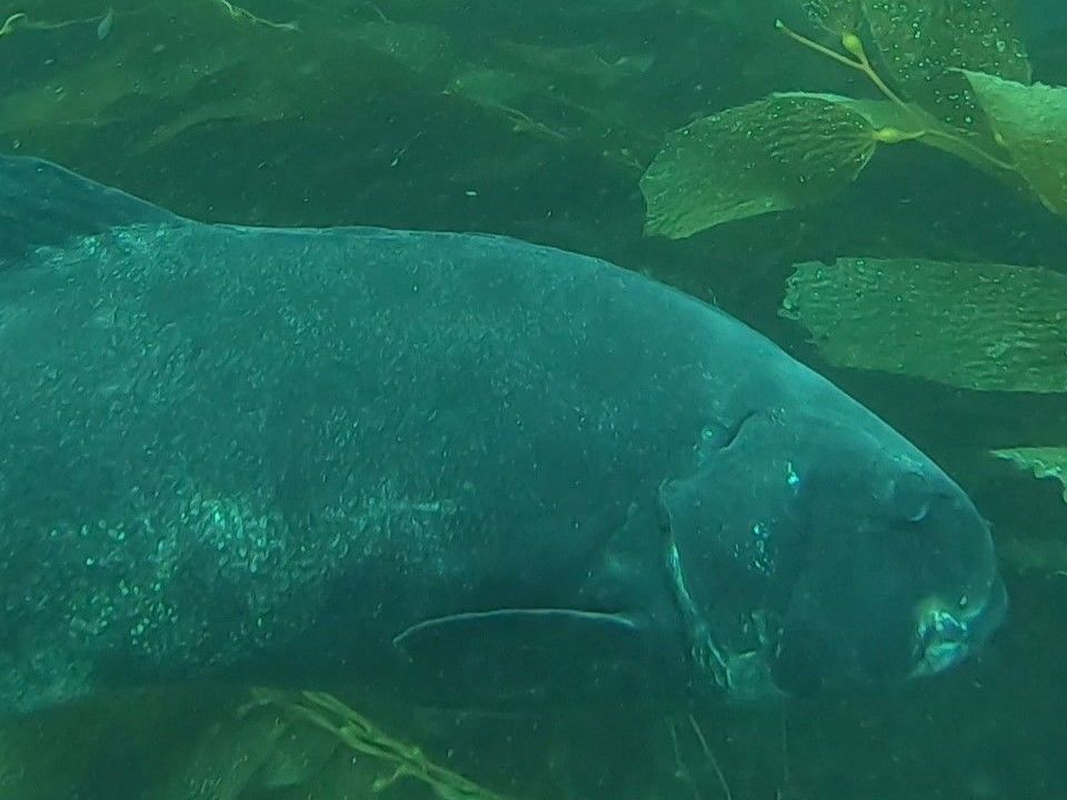 914bfc75-962a-421d-9ff0-40bde492b961