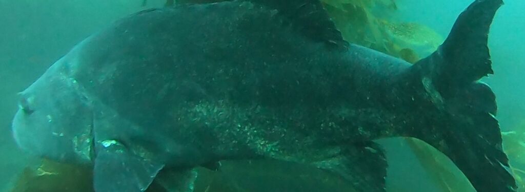 914bfc75-962a-421d-9ff0-40bde492b961