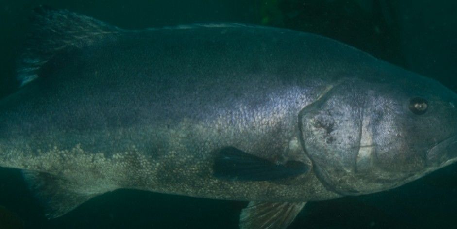 ca424c22-d333-46f2-ab0d-4baaeeb95266