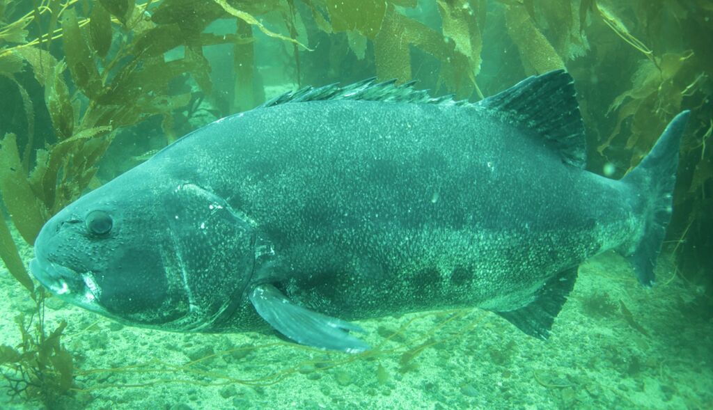 9447d923-9a09-4a7e-b511-f3caa411c47f