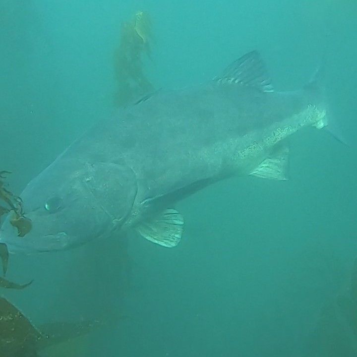 81d22142-545b-47b7-9734-231faf9c7742