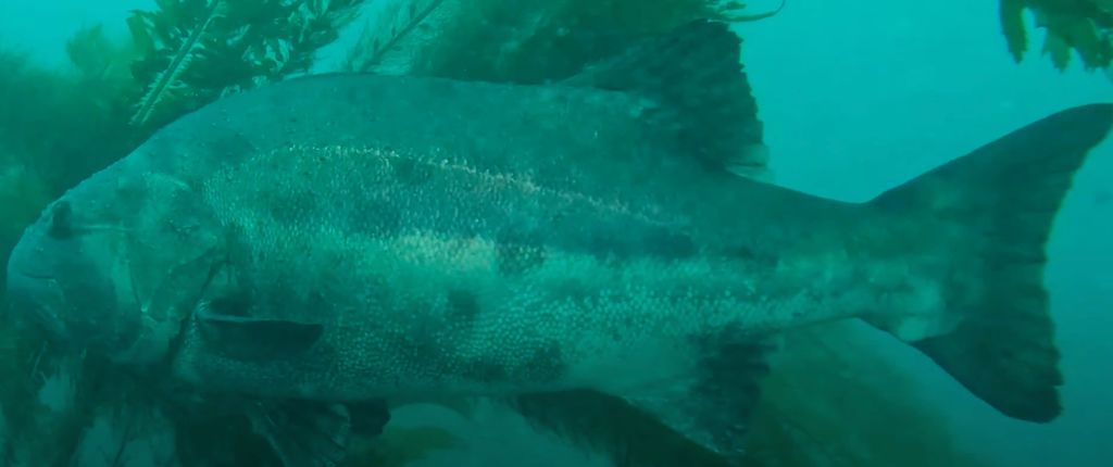 d0ab9745-b98a-475e-a206-ccb372ea95a5