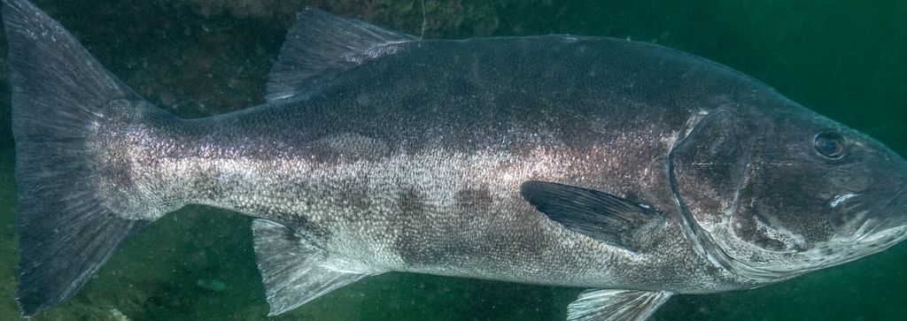 7a61e68d-8aff-4eb5-ac8b-42b98c0fb5d1