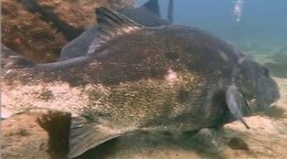 54b275bb-6cae-46b8-b40b-afa29c1b50f3