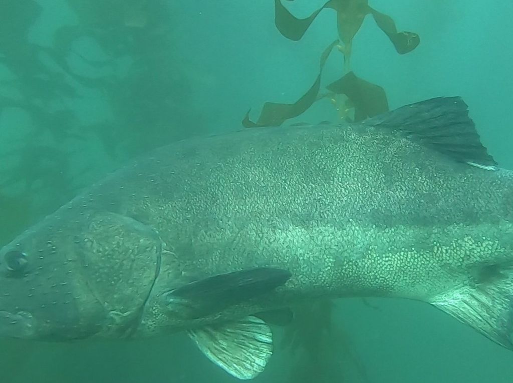 32c0e6fa-e2b0-4190-85ab-ec75f8d82e97