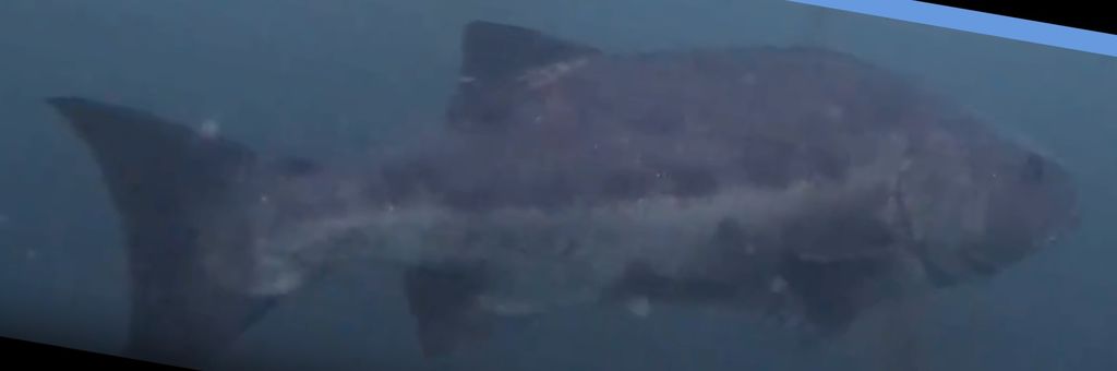 257ee2c5-de84-4b0f-afc9-69c7fa311258