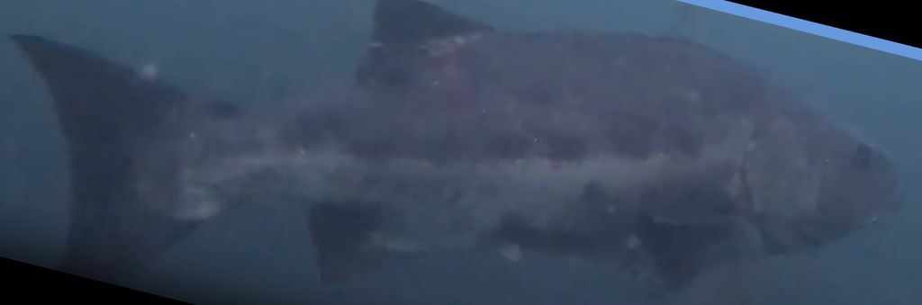 257ee2c5-de84-4b0f-afc9-69c7fa311258