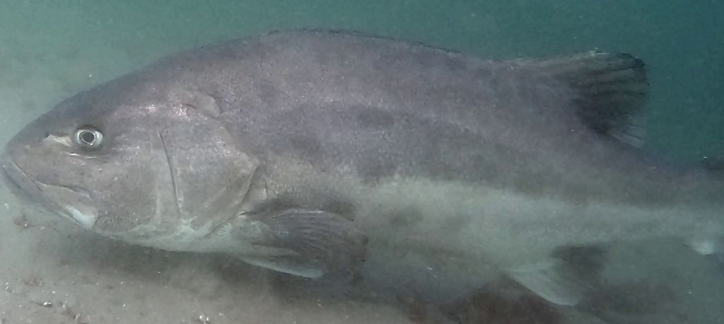 fe569099-dcf8-4421-af7d-a666ec870838