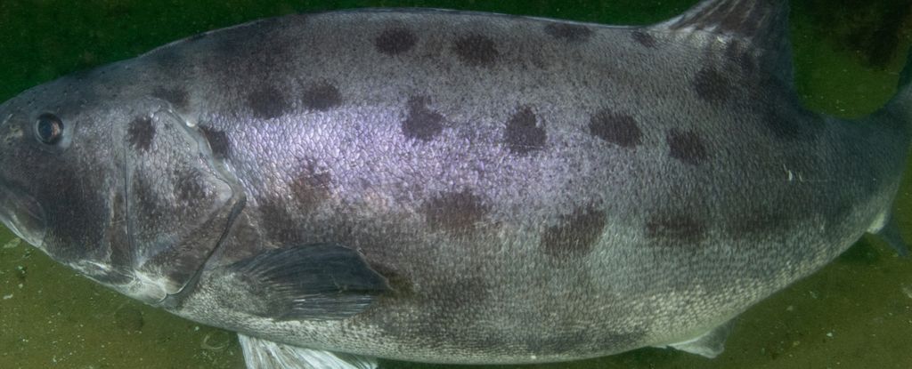 0cc70a64-d742-412b-9b5b-46989ce84a34