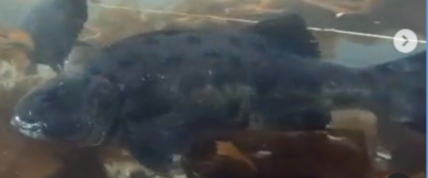 4b6d39bb-e626-469b-b81e-898758c6234d