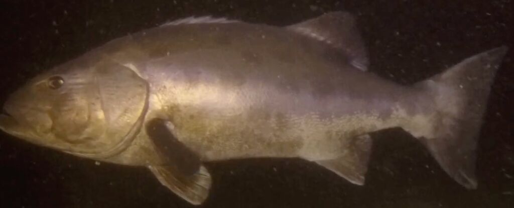 36fb954e-ecdd-42db-b8f8-4dd8f47982f6