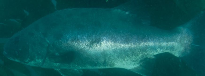 f13b0294-92ac-489c-9a0b-60589a4fb49c