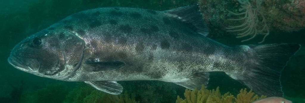 01014513-3a27-4fba-bd48-4993197ddb2a