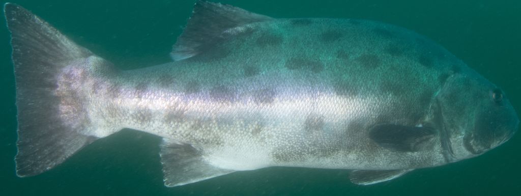 01014513-3a27-4fba-bd48-4993197ddb2a