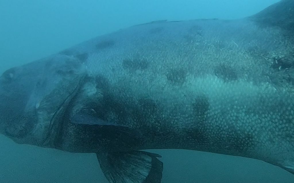 07b33bc5-d9d0-4483-9c76-9429d2d69e38