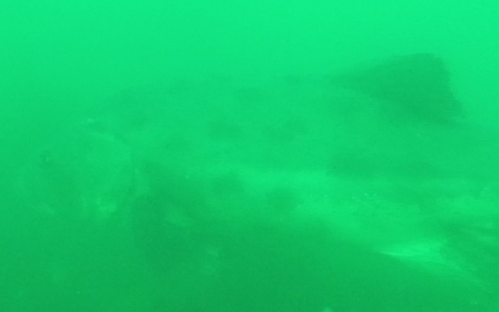 57bd765d-9403-4dd1-a23d-60a1d8b4f739