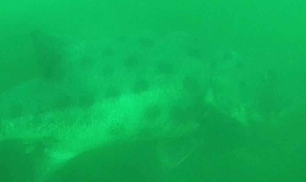 57bd765d-9403-4dd1-a23d-60a1d8b4f739