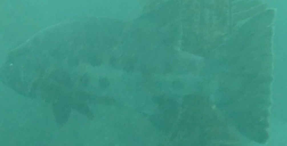 be11ec14-78ad-45d8-90f7-fce16b7faa5c