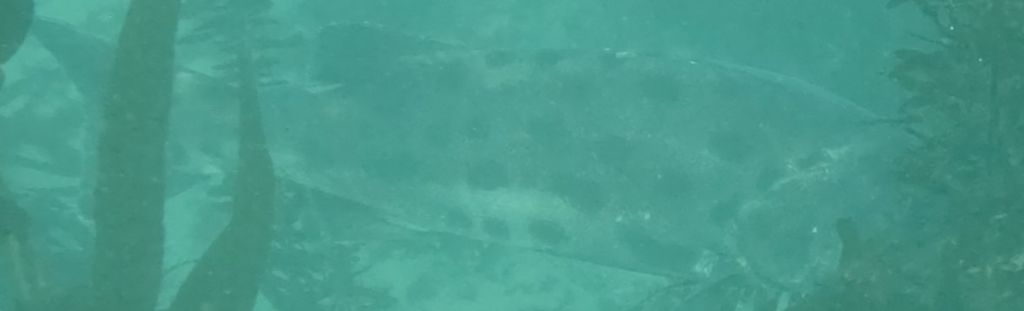 be11ec14-78ad-45d8-90f7-fce16b7faa5c