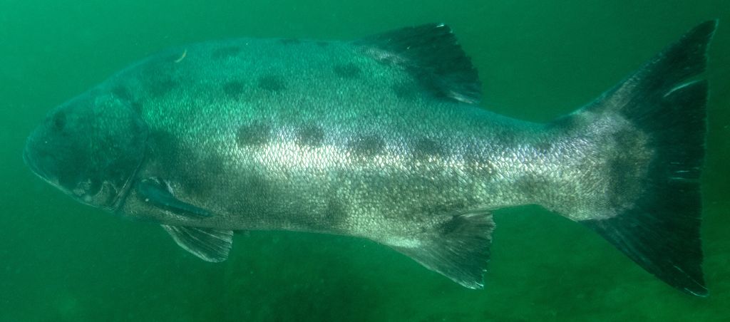 e9433761-6220-40b8-bb86-50713a296ad9